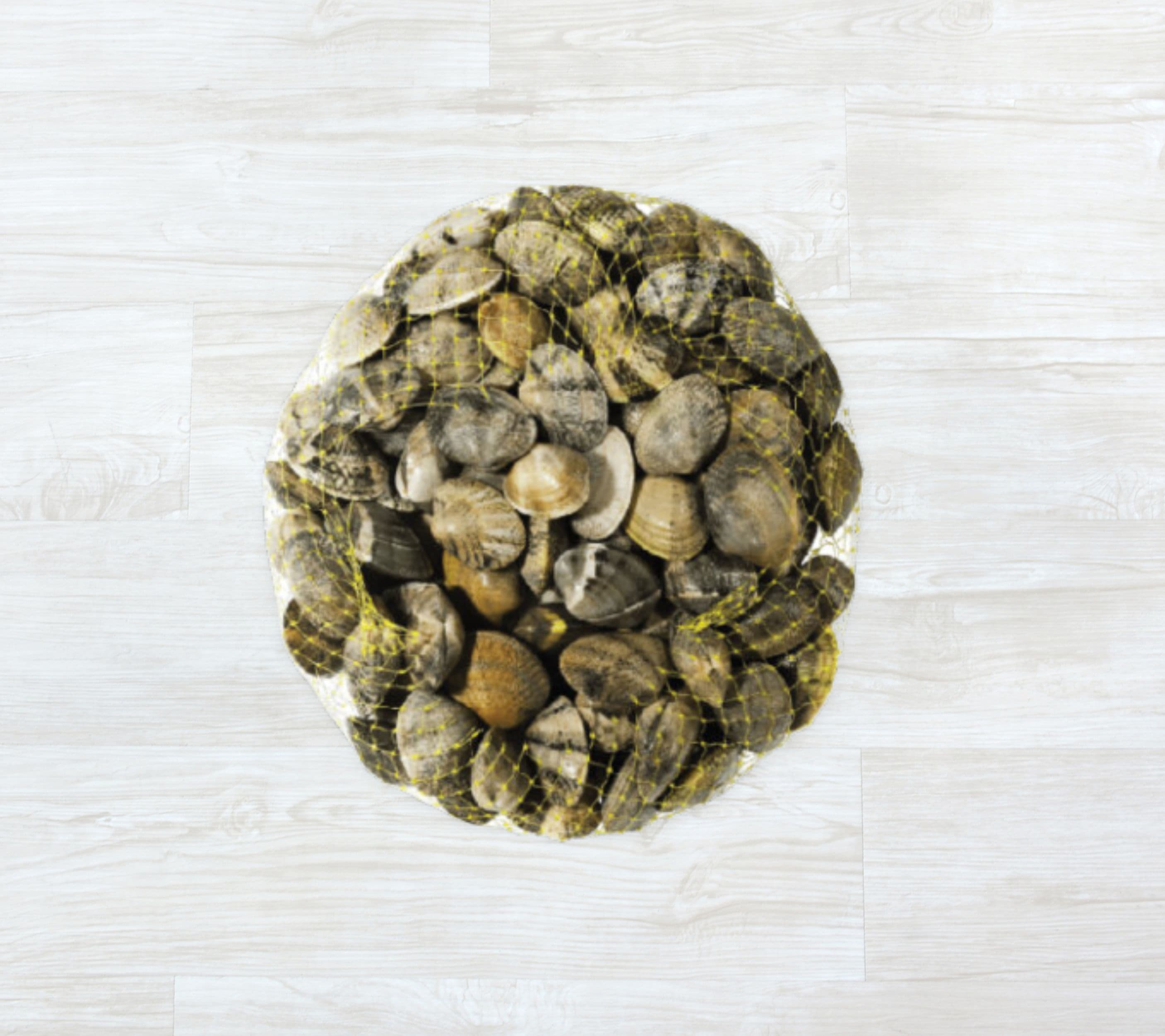 Ameijoa Boa do Algarve