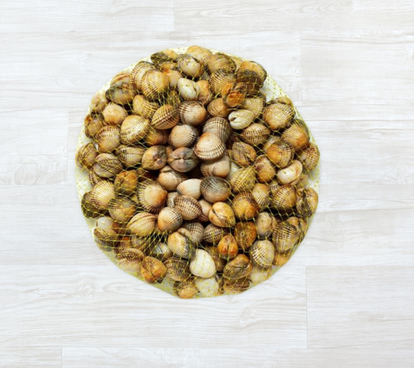 Berbigão da Ria Aveiro Vivo