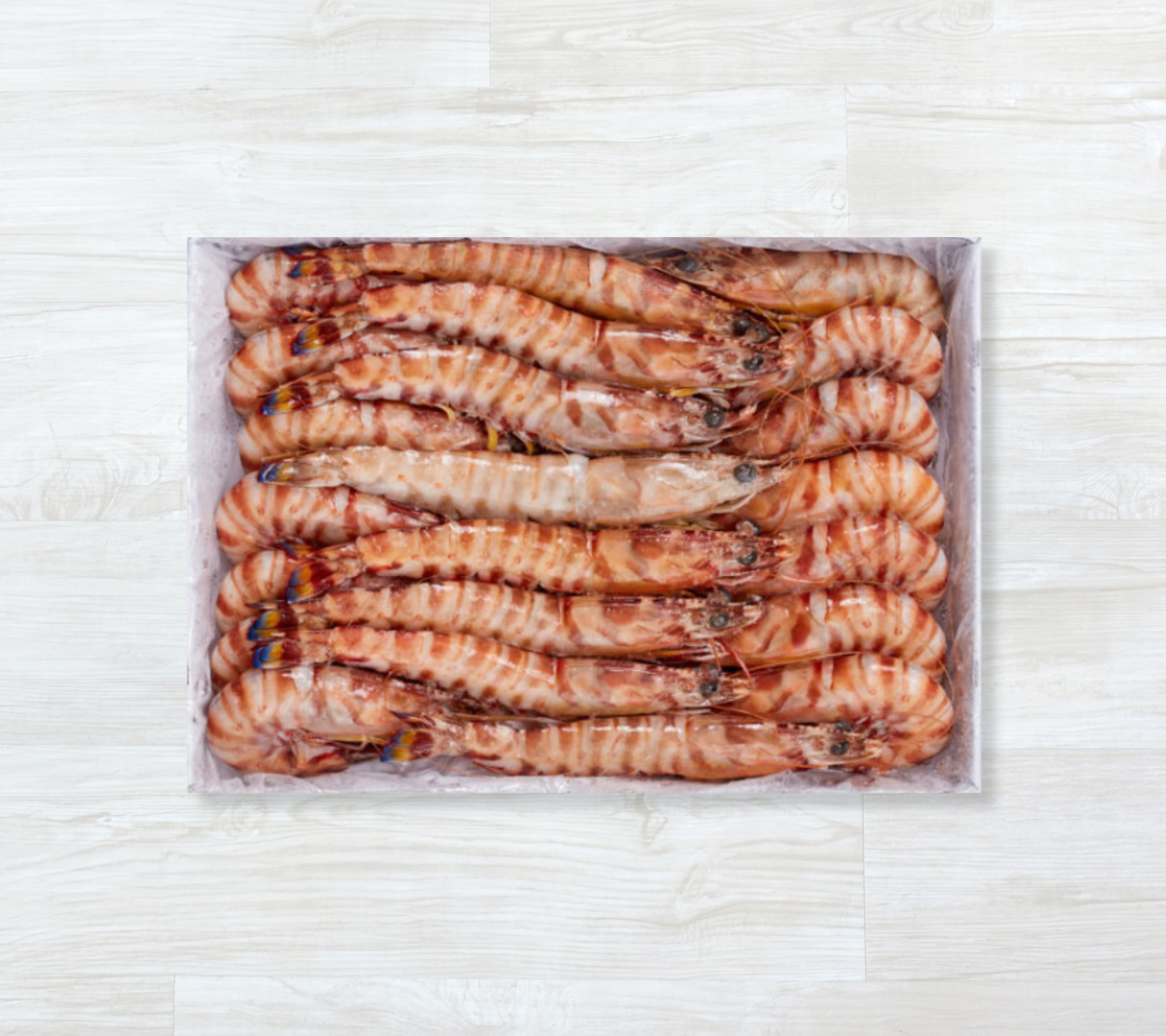 Camarão Tigre Nigéria 4/6 pcs/Kg Congelado