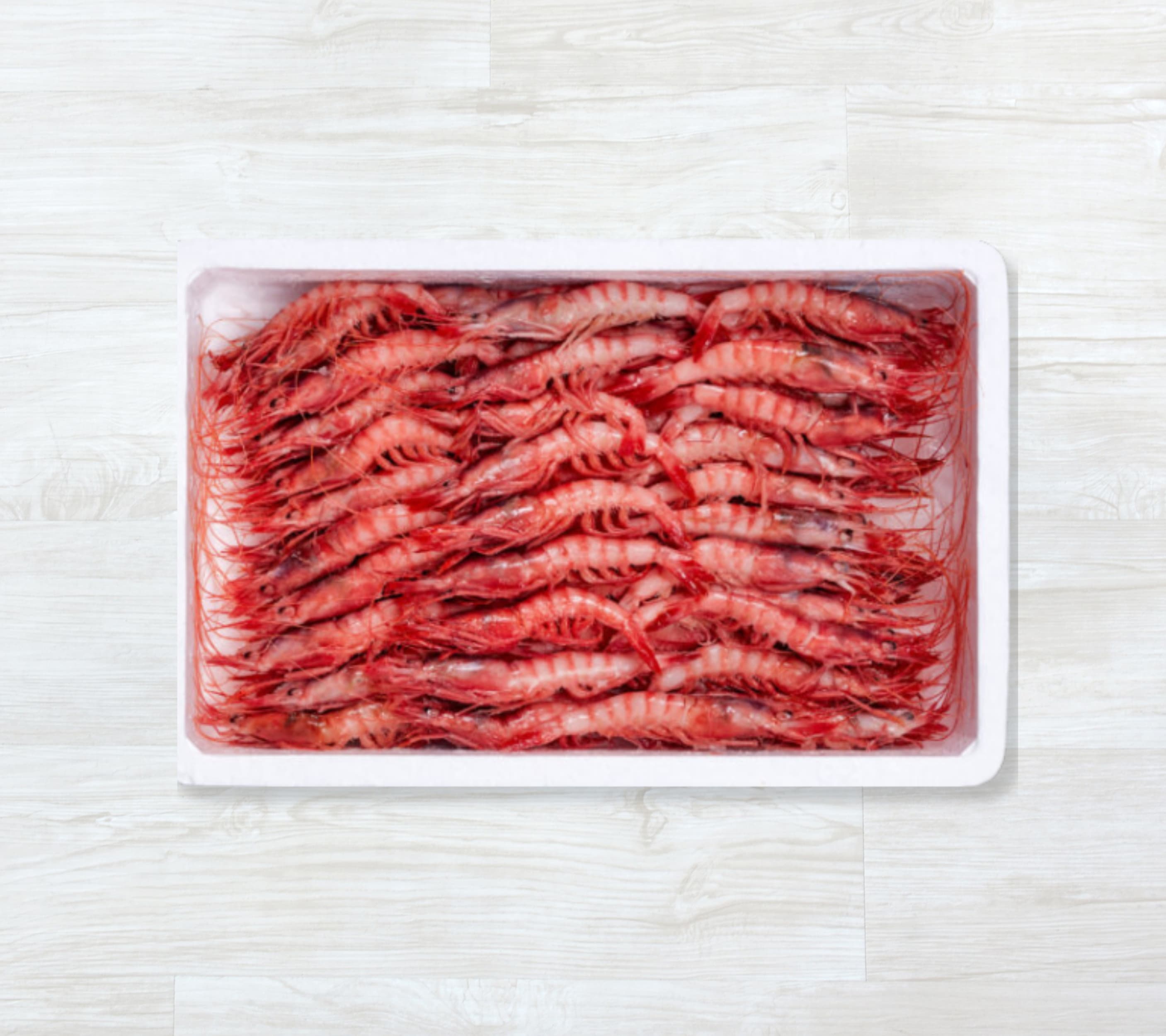 Camarão Vermelho do Algarve 50-60 pcs/kg Congelado