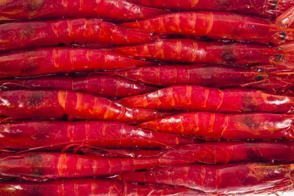 CON0529Carabineiro 8-10 pcs/kg CB (2 kg/cx) (Plesiopenaeus edwardsianus)