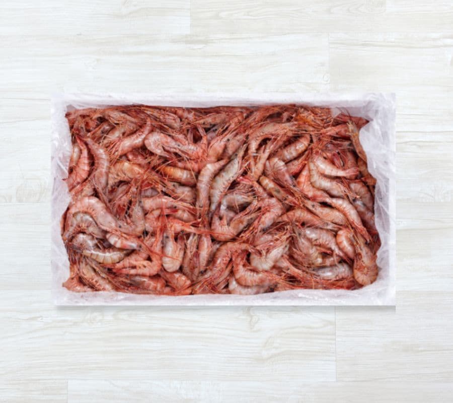 CON1015Camarão-da-costa Cozido 120-200 pcs/kg (cx 1kg) (Palaemon serratus)