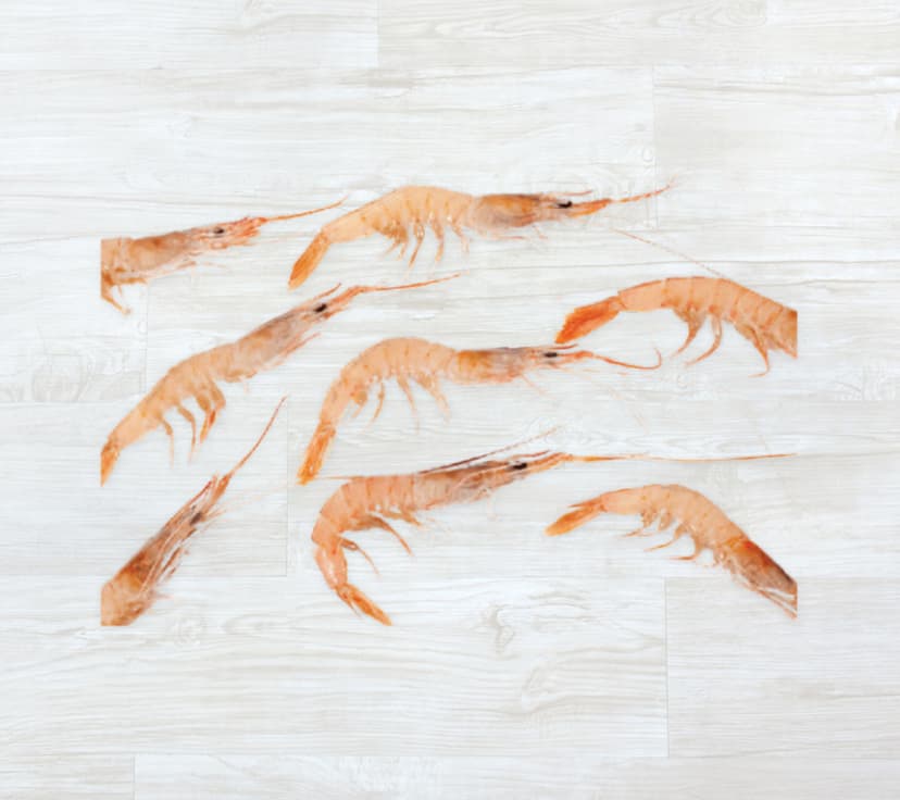 Gamba do Algarve p/ caldo Congelada