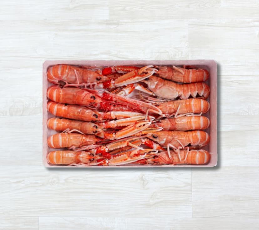 Lagostim ICELANDIC n.º 0 8-10 pcs/kg CB (1.5 kg/cx)