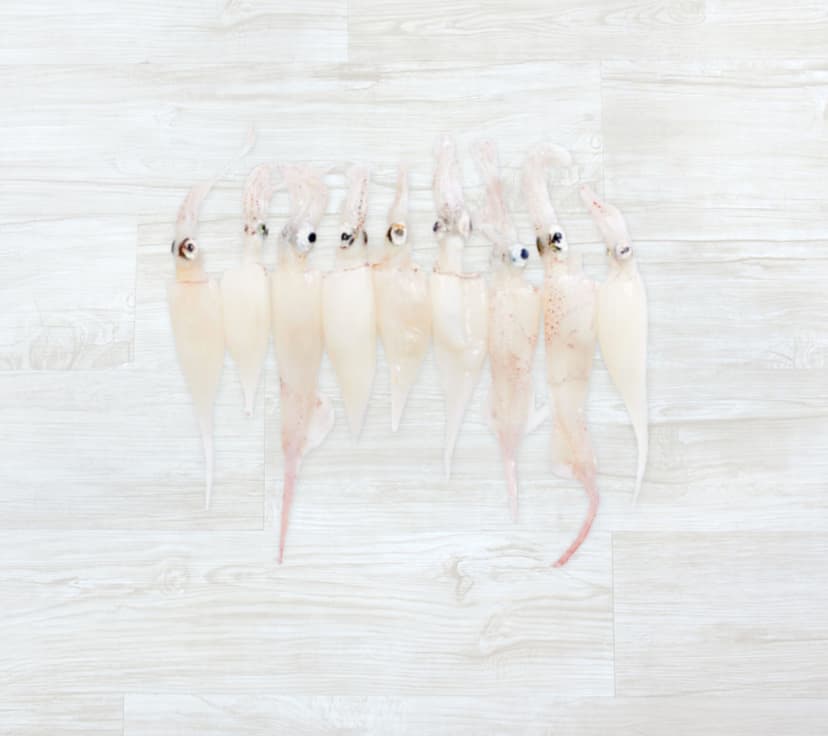 Puntilhitas Congeladas ( 500g)