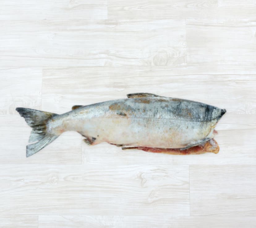 Salmão SOCKEYE Alasca, Filete 680-900 g Cong.