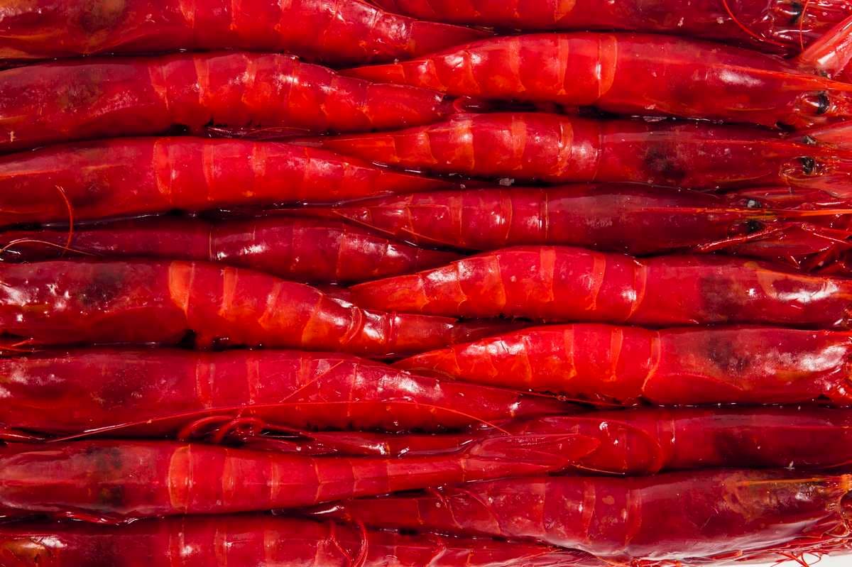 Produto