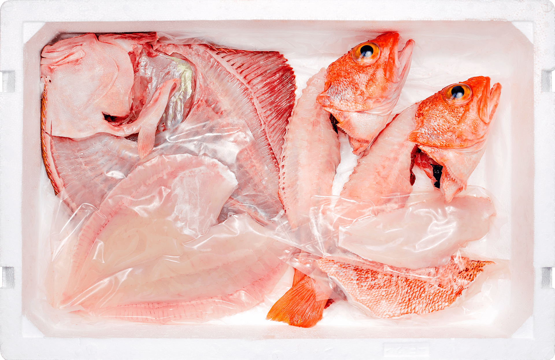 Cabaz Sem Espinhas Peixe Fresco | 2 Refeições para 4 pax