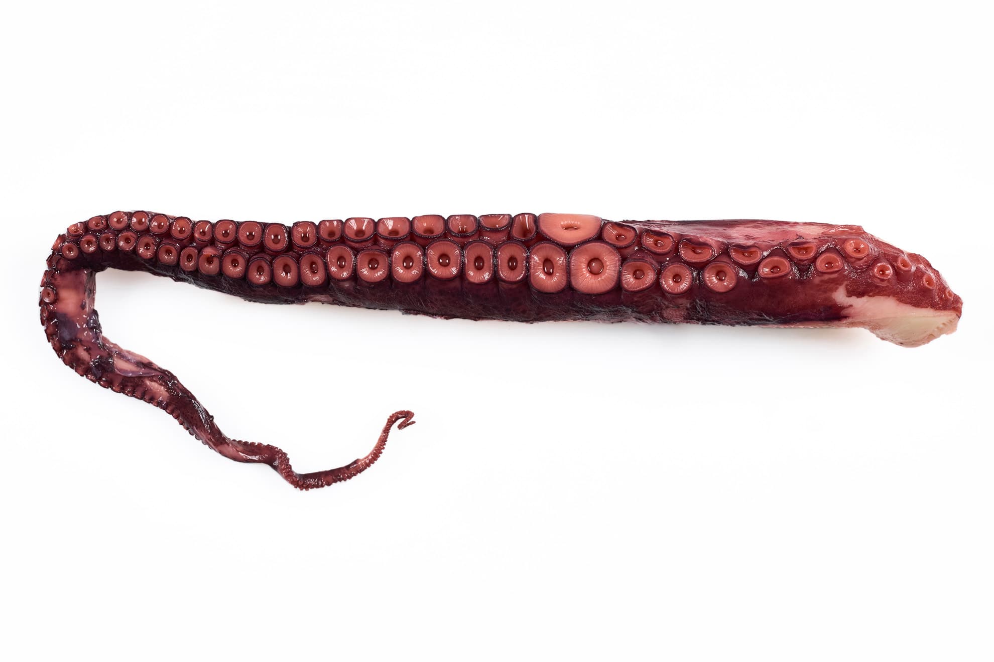 Polvo Tentáculo Cozido Unid. 230-250 g Congelado